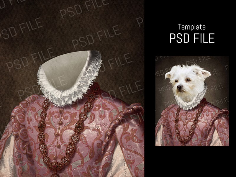 This is a Pet Portrait Template renaissance queen costume made in photoshop...