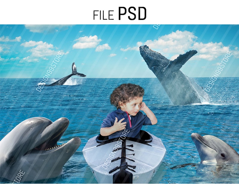 dolphin digital backdrop