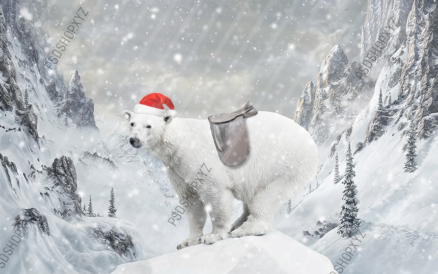 Bear Christmas Backdrops For Photography
