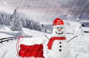 Snowman Christmas Backdrops For Photography