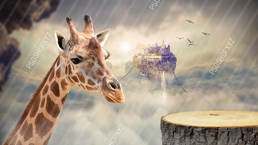 Giraffe Digital Backdrops Baby