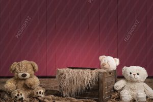 Bear Basket Newborn Background